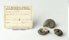 Foto von Markasit (NHMW-MIN-Ak37)